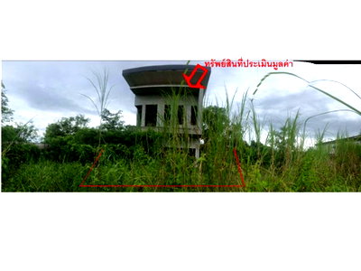 ที่ดิน เมืองหนองคาย หนองคาย : ที่ดินพร้อมสิ่งปลูกสร้าง 48 ตร.วา TT Modern House เมืองหนองคาย หนองคาย 1M