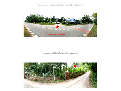 Land for sale Ko Kha Lamphang : LAND 523 Sq.w. Ko Kha Lamphang for 304,000