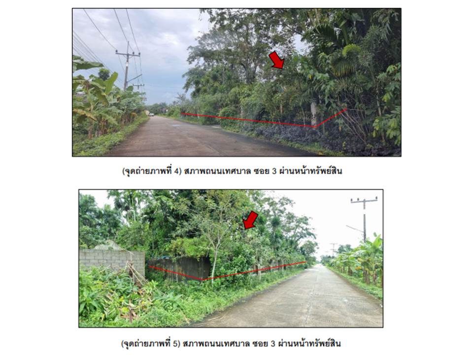 picture LAND 297.6 Sq.w. Pa Bon Phatthalung for 2.1M - 6/6