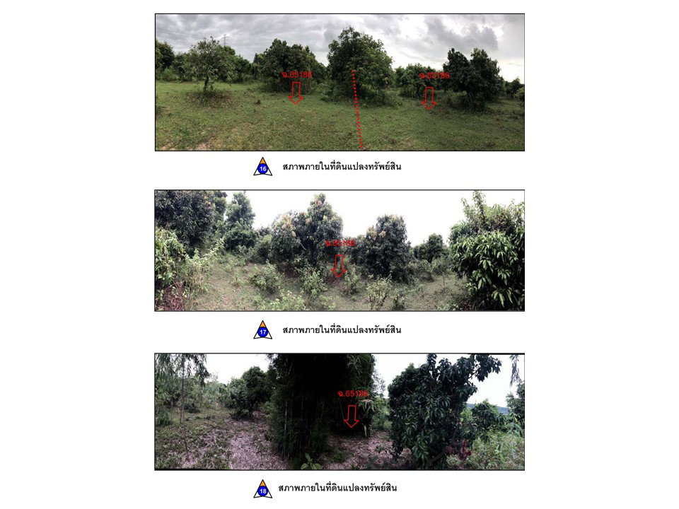 picture LAND 6295 Sq.w. Phrom Phiram Phitsanulok for 2.8M - 6/8