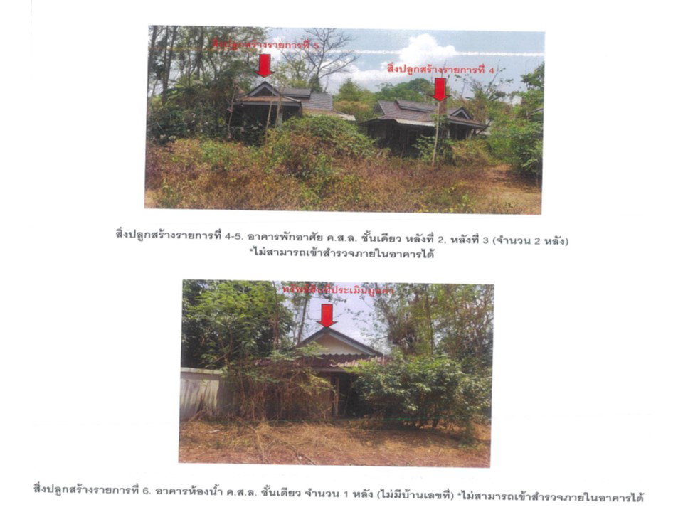 รูป ที่ดินพร้อมสิ่งปลูกสร้าง 608 ตร.วา โป่งเหนือ เวียงป่าเป้า เชียงราย 3.6M - รูปที่ 3/10