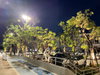 listing thumbnail image 17