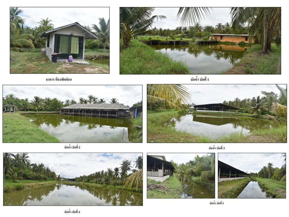 picture LAND 5533.3 Sq.w. Ban Laem Petchburi for 6.5M - 9/9