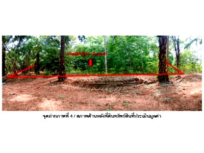 LAND 990 Sq.w. Tha Chana Surat Thani for 2M