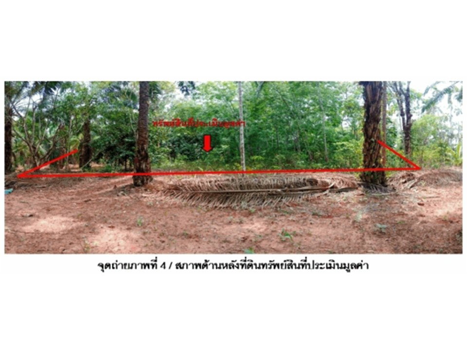 picture LAND 990 Sq.w. Tha Chana Surat Thani for 2M - 1/3