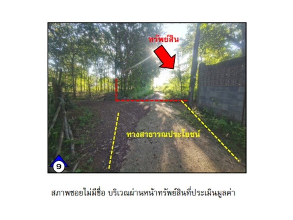 รูป ที่ดินพร้อมสิ่งปลูกสร้าง 715 ตร.วา บ้านม่วง สกลนคร 1.1M - รูปที่ 7/10