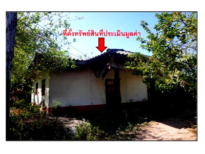 บ้านเดี่ยว ขอนแก่น : ที่ดินพร้อมสิ่งปลูกสร้าง 243 ตร.วา หนองสองห้อง ขอนแก่น 455,000