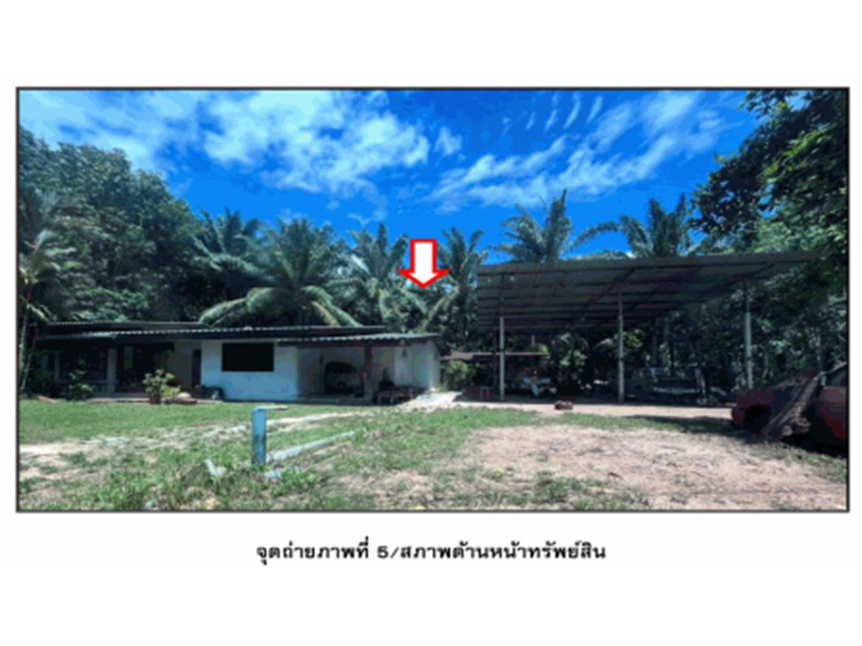picture LAND 271 Sq.w. Tha Chana Surat Thani for 873,000 - 3/5