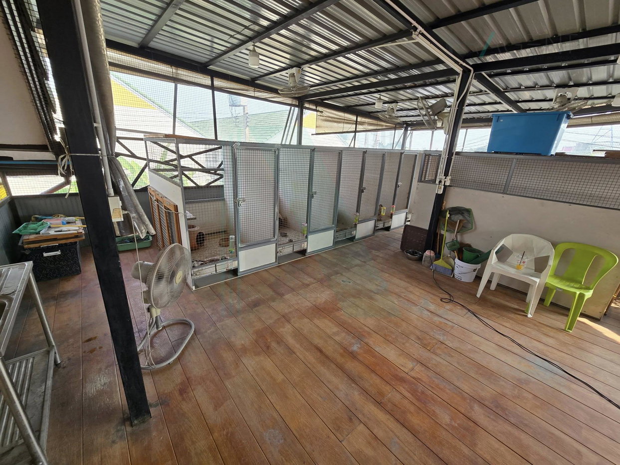 รูป 📌 ขายทาวน์เฮาส์ โครงการ บ้านพิศาล โครงการ 10 2 ชั้น 4 ห้องนอน 2 ห้องน้ำ - รูปที่ 8/8