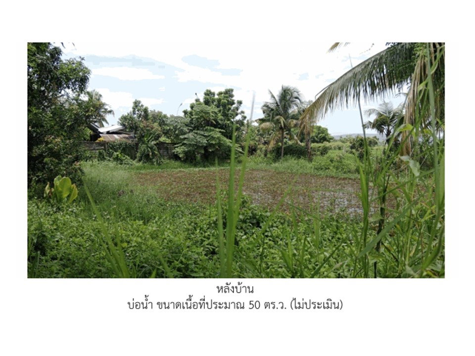 รูป ที่ดินพร้อมสิ่งปลูกสร้าง 400 ตร.วา พาน เชียงราย 1.6M - รูปที่ 5/5
