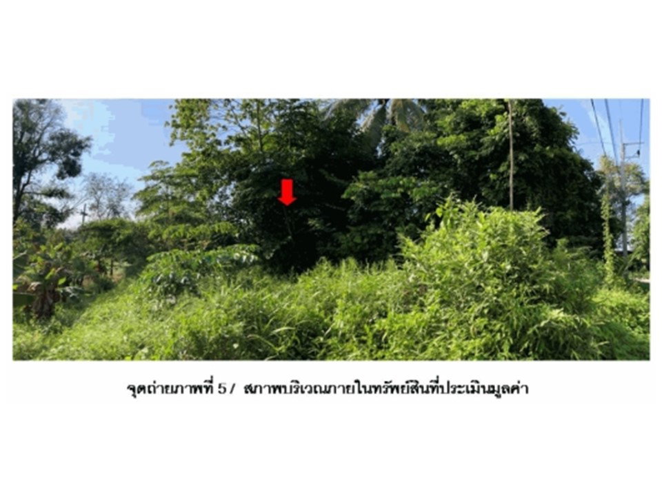 รูป ที่ดิน 132.6 ตร.วา ท่าชนะ สุราษฎร์ธานี 499,000 - รูปที่ 4/4
