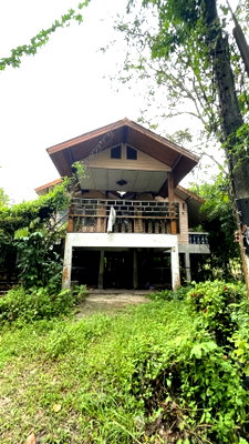 Houses for sale Phatthalung : HOME 87.9 Sq.w. Tamot Phatthalung for 1M