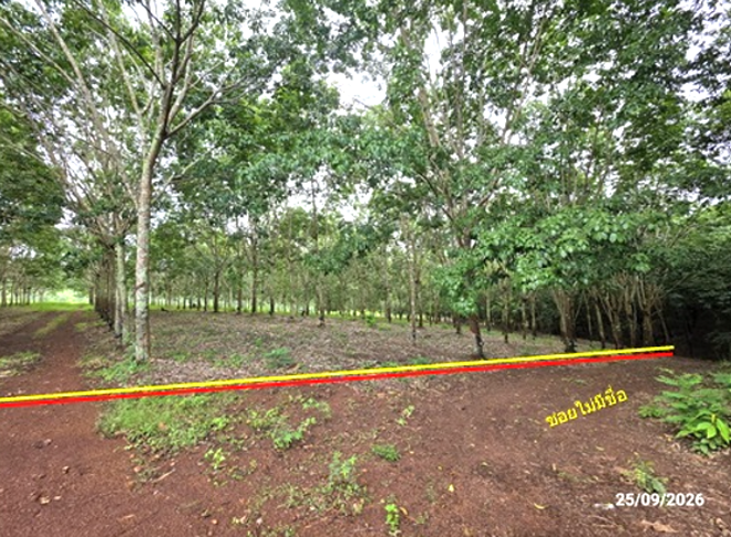 picture LAND 4695 Sq.w. Muang Loei Loei for 2.6M - 2/25