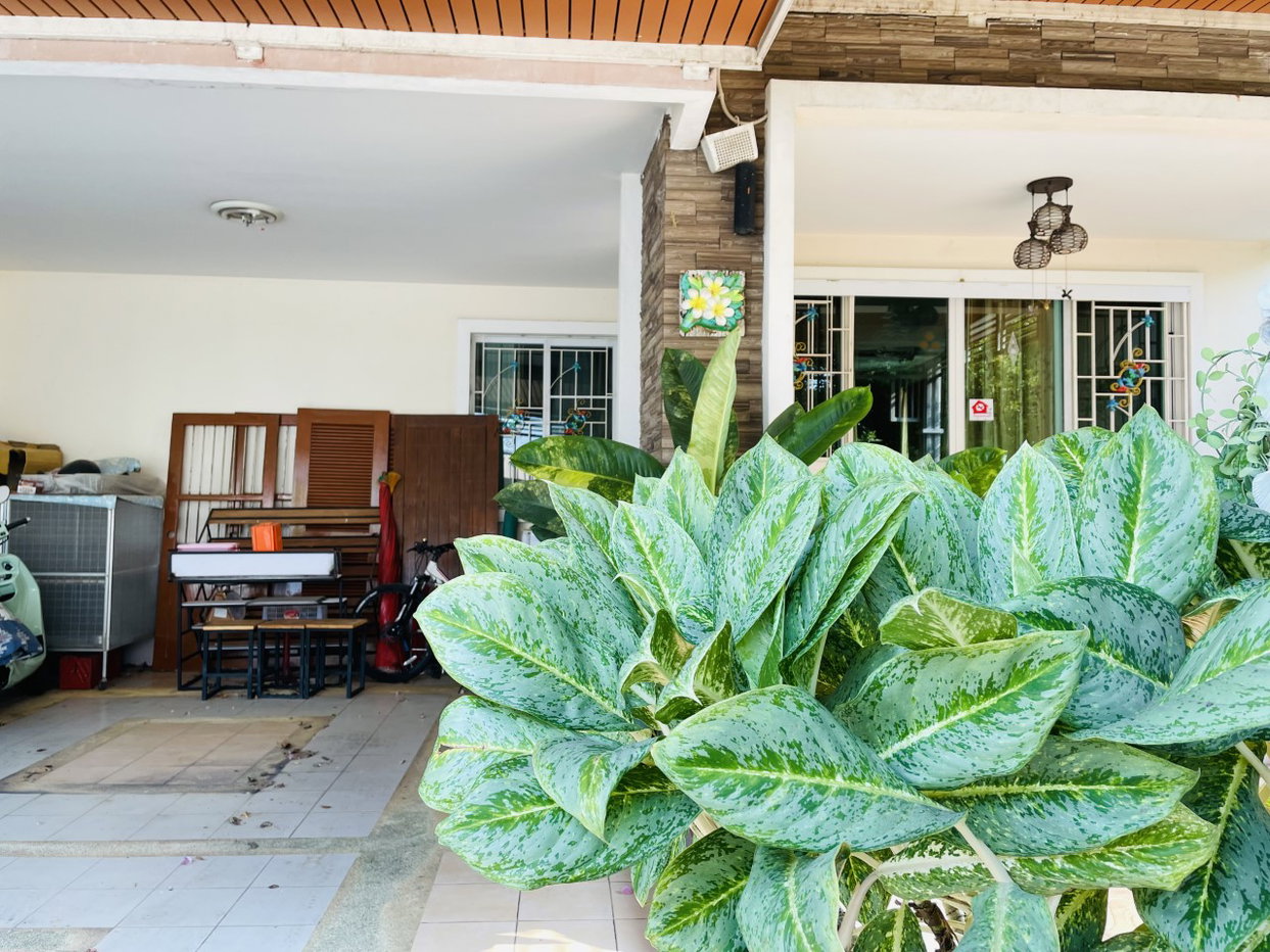 picture LAND 81 Sq.w. Muang Phitsanulok Phitsanulok for 3.6M - 8/10