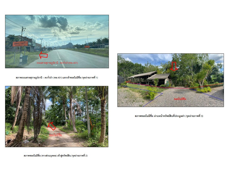 รูป ที่ดินพร้อมสิ่งปลูกสร้าง 2863 ตร.วา พนม สุราษฎร์ธานี 2.5M - รูปที่ 2/7