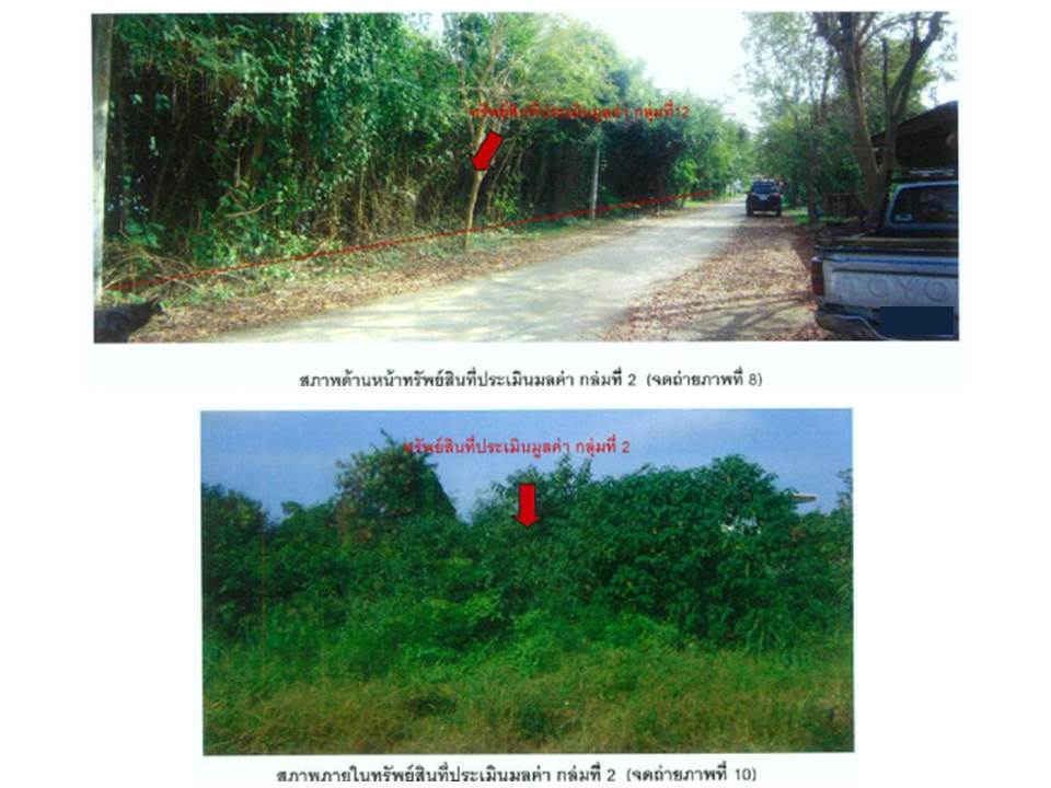 picture LAND 421.8 Sq.w. Tron Uttaradit for 1.6M - 4/4