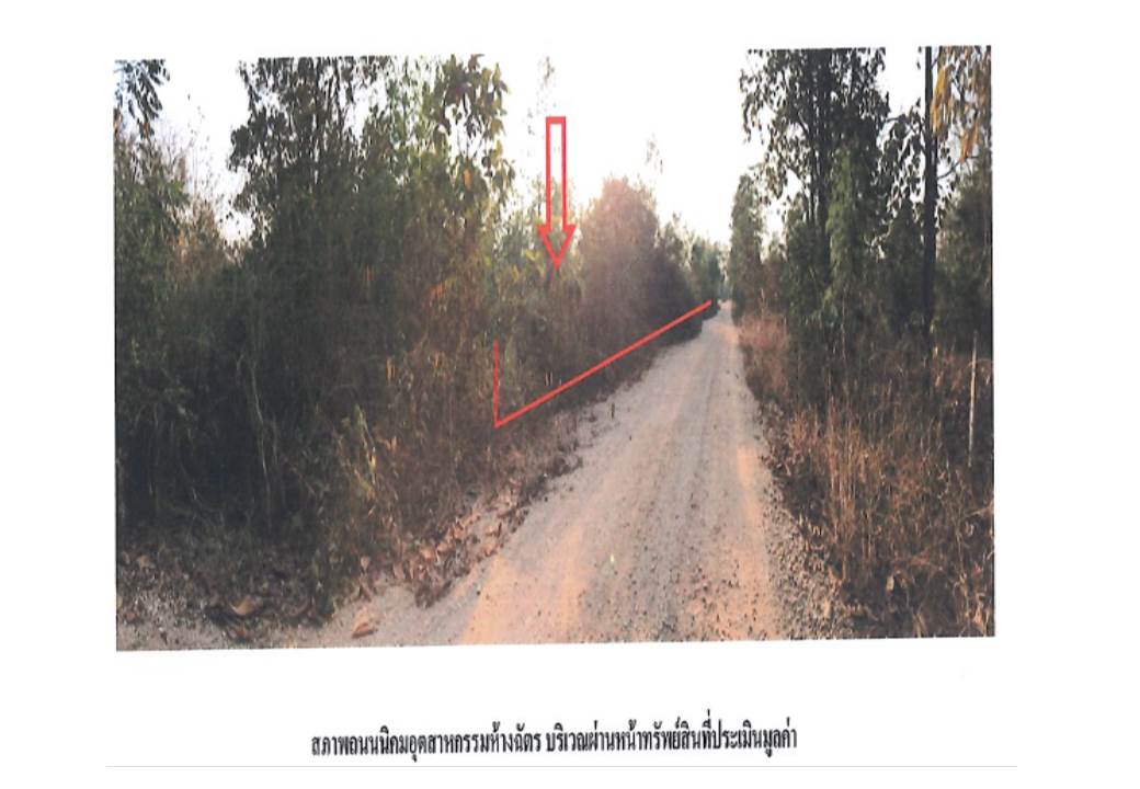 picture LAND 3130 Sq.w. Ko Kha Lamphang for 1.1M - 5/8