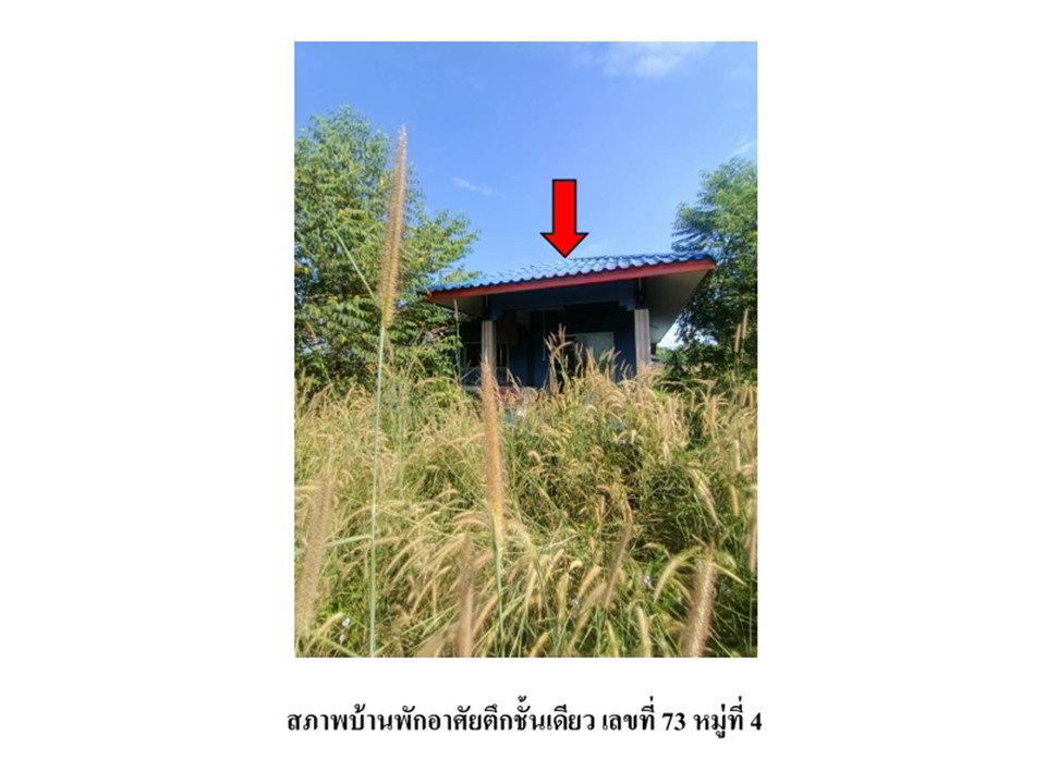 picture LAND 102 Sq.w. Kabin Buri Prachinburi for 664,000 - 5/5