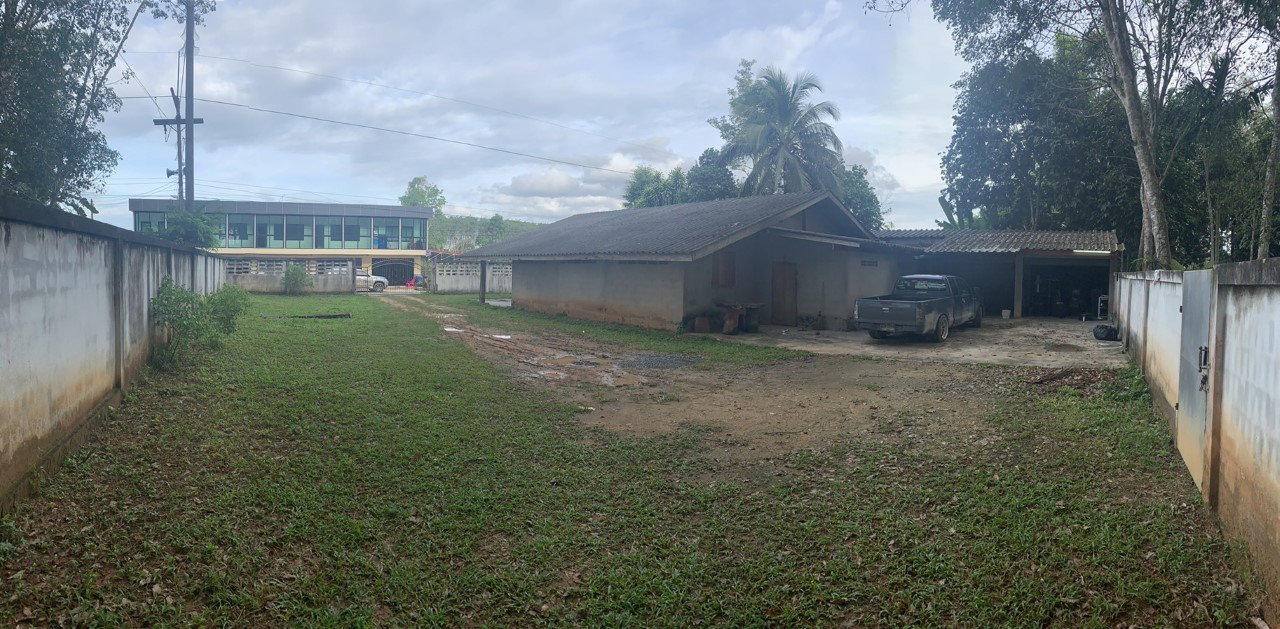 picture LAND 188 Sq.w. Na Bon Nakhon Sri Thammarat for 1.2M - 8/8