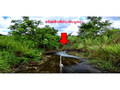 LAND 1792 Sq.w. Nam Som Udon Thani for 7.9M