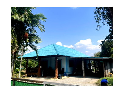 Land for sale Mae Tha Lamphang : LAND 260 Sq.w. Mae Tha Lamphang for 1.1M