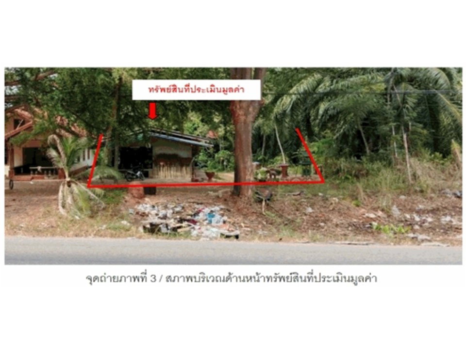 picture LAND 990 Sq.w. Tha Chana Surat Thani for 2M - 3/3
