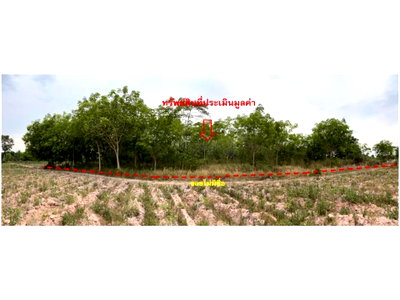 Land for sale Phanom Dong Rak Surin : LAND 1797.3 Sq.w. Phanom Dong Rak Surin for 693,000