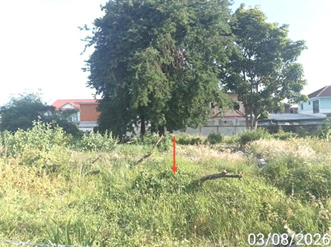 รูป ที่ดินว่างเปล่า 400 ตร.วา บางละมุง ชลบุรี 15M - รูปที่ 5/15