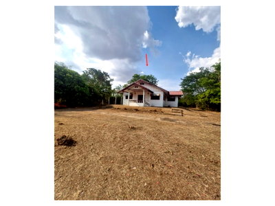 Land for sale Yang Talat Kalasin : LAND 1040 Sq.w. Yang Talat Kalasin for 1.4M