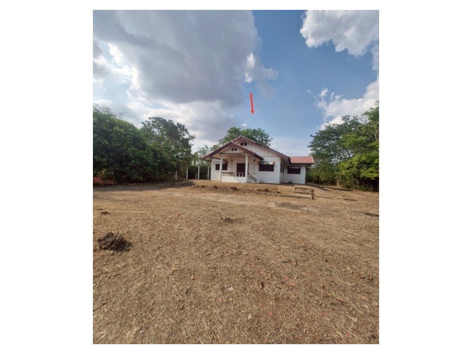 picture LAND 1040 Sq.w. Yang Talat Kalasin for 1.4M - 1/8