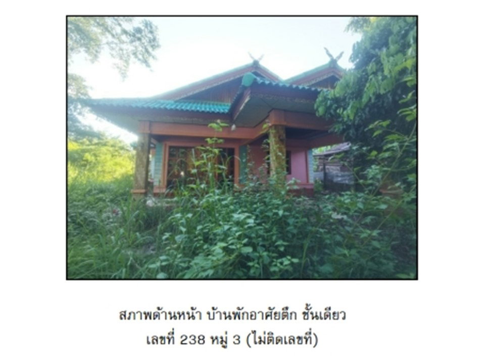 รูป ที่ดินพร้อมสิ่งปลูกสร้าง 715 ตร.วา บ้านม่วง สกลนคร 1.1M - รูปที่ 1/10