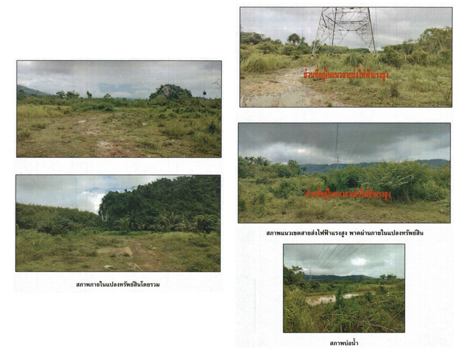 picture LAND 628.6 Sq.w. Thung Song Nakhon Sri Thammarat for 266,000 - 4/4