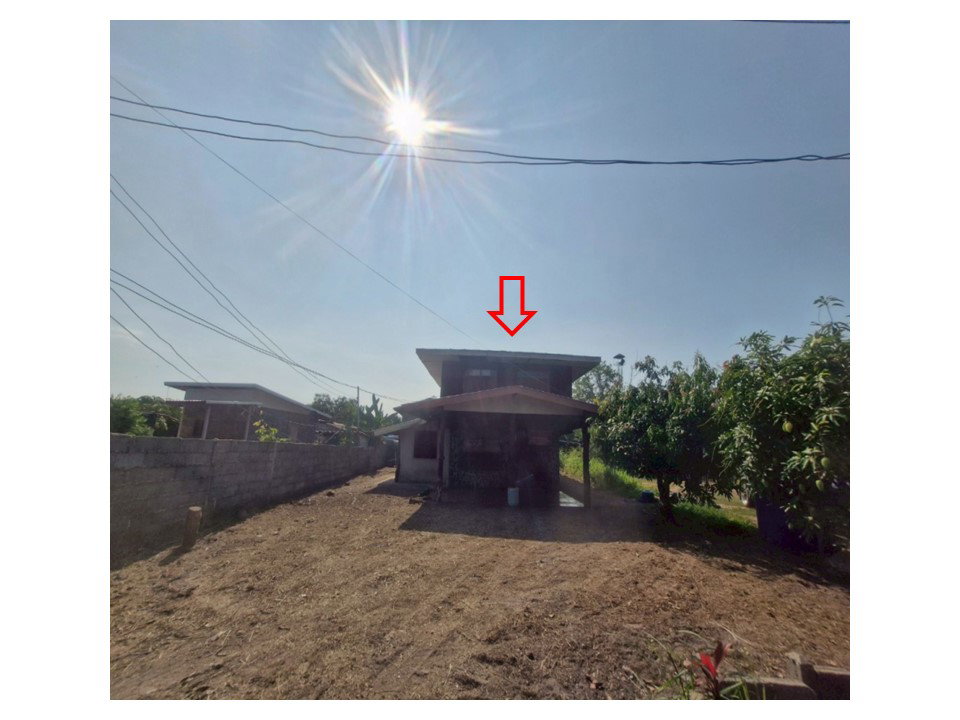 picture LAND 88 Sq.w. Yang Talat Kalasin for 505,000 - 1/10