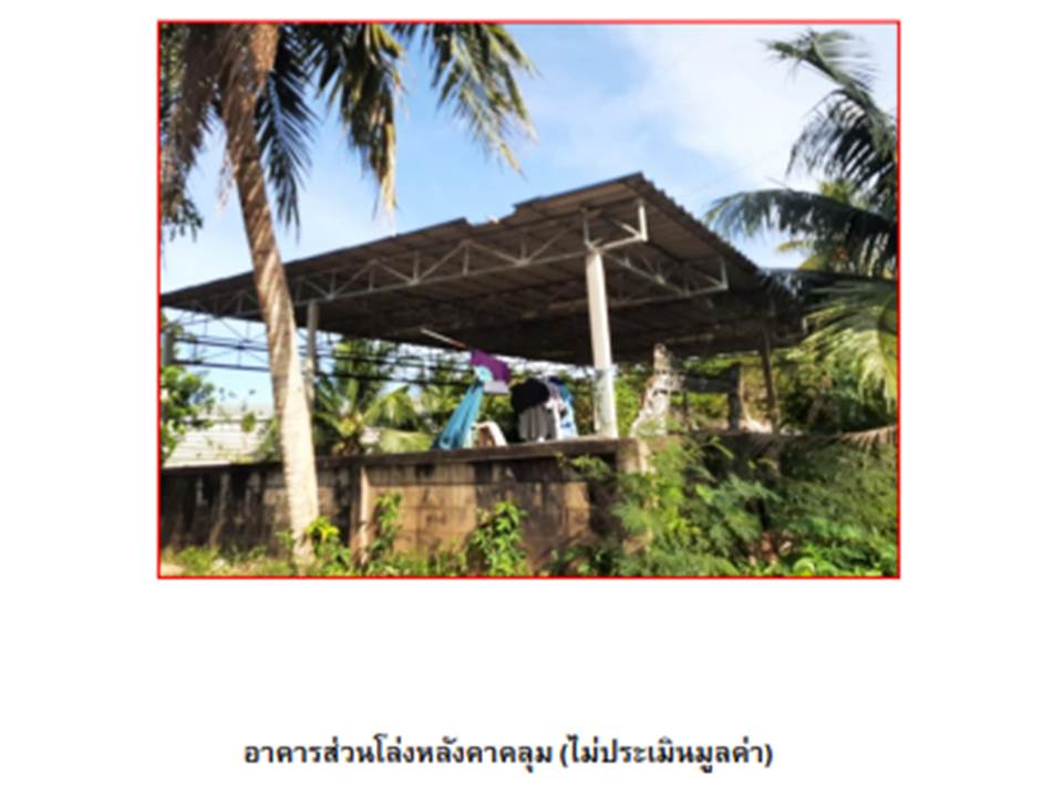 รูป ที่ดิน 85.3 ตร.วา เมืองชุมพร ชุมพร 387,000 - รูปที่ 5/5
