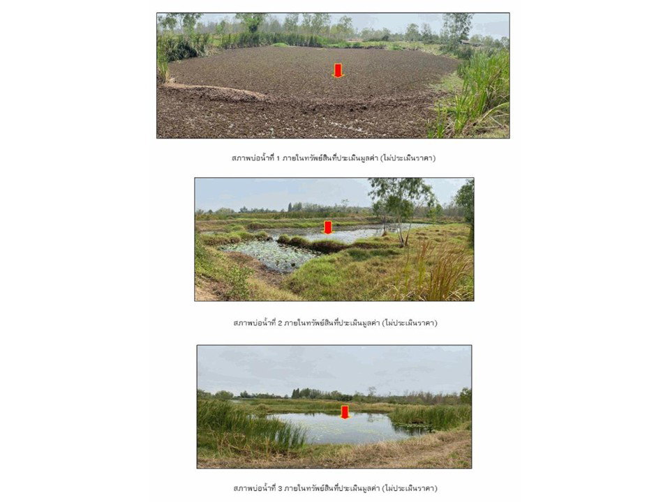 รูป ที่ดิน 10950 ตร.วา จัตุรัส ชัยภูมิ 6.4M - รูปที่ 5/5