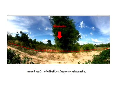 Land for sale Phanom Dong Rak Surin : LAND 1980.1 Sq.w. Phanom Dong Rak Surin for 763,000