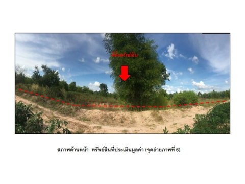 LAND 1980.1 Sq.w. Phanom Dong Rak Surin for 763,000