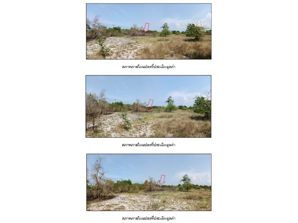 picture LAND 270.6 Sq.w. Tak Bai Narathiwat for 335,000 - 4/4