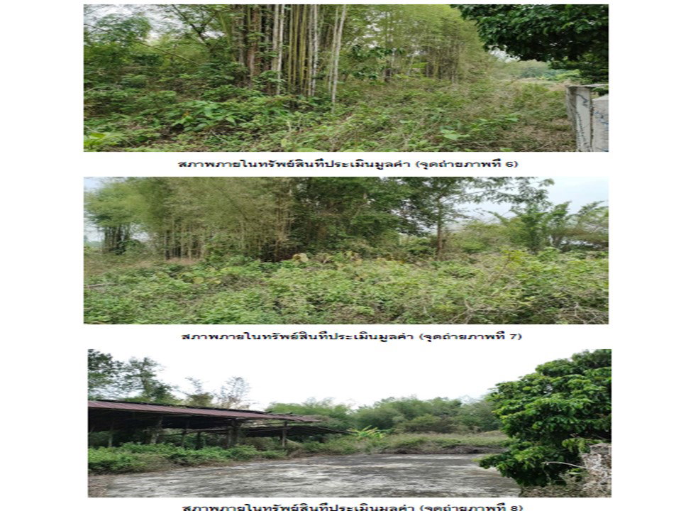 picture LAND 812 Sq.w. Chiang Klang Nan for 1.2M - 4/5