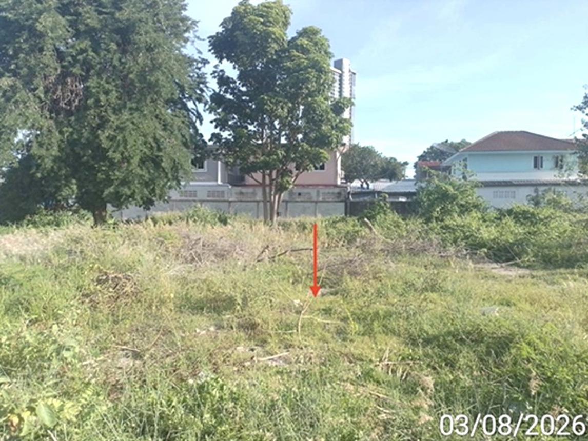 รูป ที่ดินว่างเปล่า 400 ตร.วา บางละมุง ชลบุรี 15M - รูปที่ 11/15