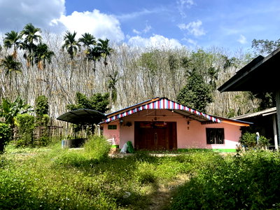 Houses for sale Wiang Sa Surat Thani : HOME 197 Sq.w. Wiang Sa Surat Thani for 1.8M