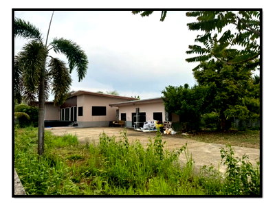LAND 420.1 Sq.w. Muang Chiang Rai Chiang Rai for 9.1M