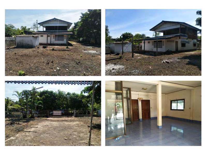 รูป ที่ดินพร้อมสิ่งปลูกสร้าง 286 ตร.วา บ้านม่วง สกลนคร 875,000 - รูปที่ 5/5