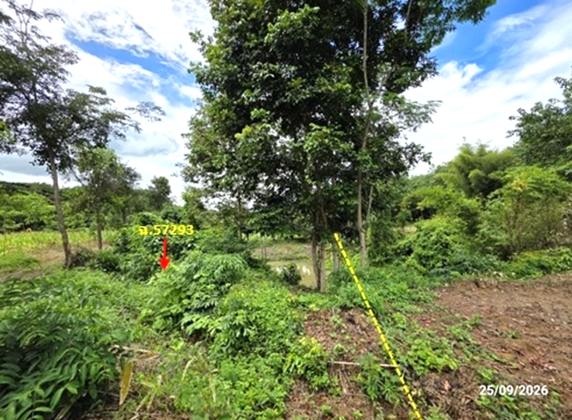 picture LAND 4695 Sq.w. Muang Loei Loei for 2.6M - 18/25