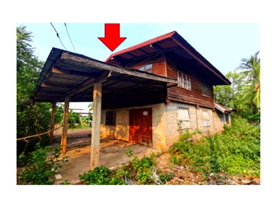 ที่ดิน บ้านม่วง สกลนคร : ที่ดินพร้อมสิ่งปลูกสร้าง 188 ตร.วา บ้านม่วง สกลนคร 462,000