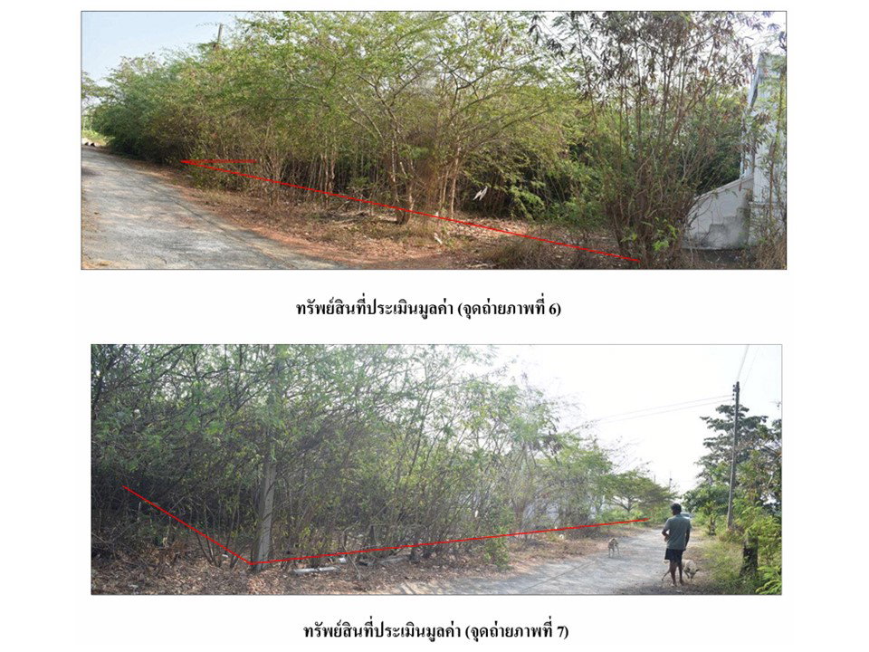 รูป ที่ดินพร้อมสิ่งปลูกสร้าง 164 ตร.วา เมืองเพชรบุรี เพชรบุรี 1.2M - รูปที่ 4/4