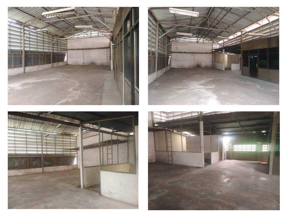 picture LAND 147 Sq.w. Nong Ki Buri Ram for 2.3M - 5/7
