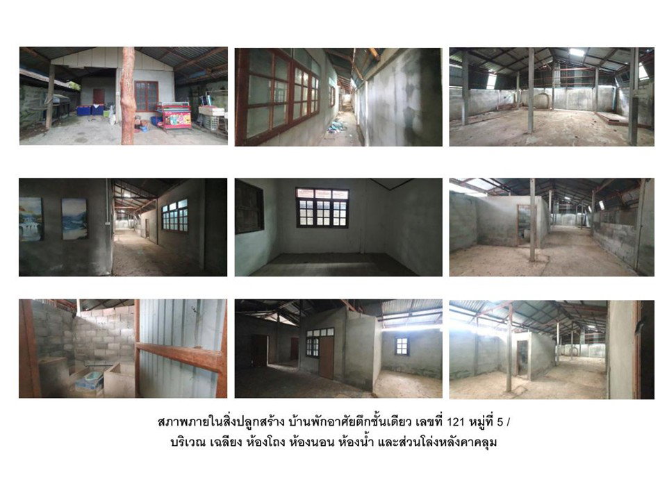 รูป ที่ดินพร้อมสิ่งปลูกสร้าง 59 ตร.วา ภูกระดึง เลย 450,000 - รูปที่ 4/6