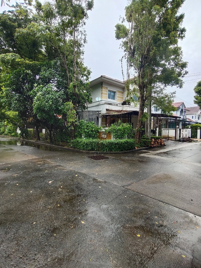 รูป ✨️บ้านเดี่ยวหลังมุมน้ำไม่ท่วมPerfect place พระราม5-ราชพฤษ์หลังใหญ่สุดในโครงการ - รูปที่ 6/22