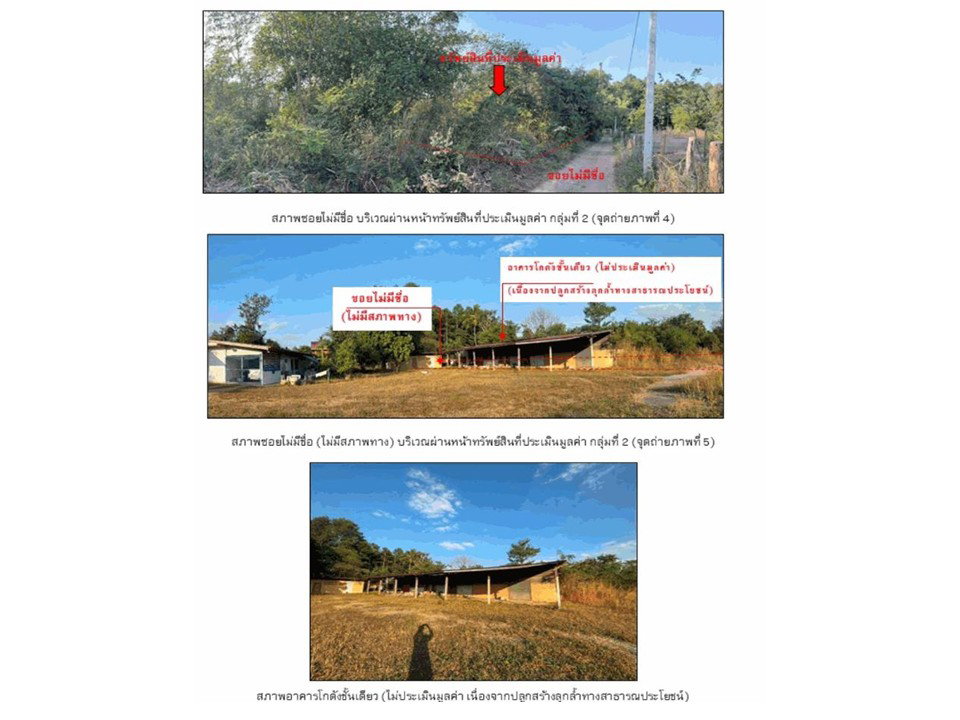 picture LAND 1185 Sq.w. Yang Talat Kalasin for 4.5M - 5/5